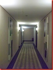 DSCF1250