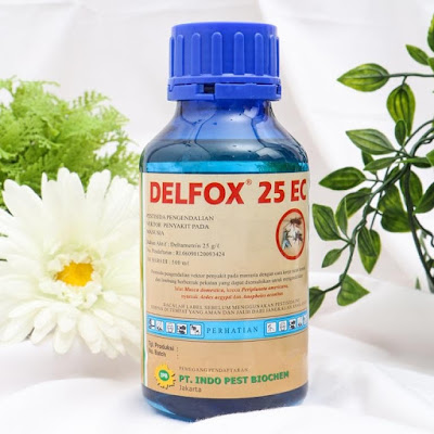 Delfox 25EC Obat Fogging Nyamuk DBD Terdekat