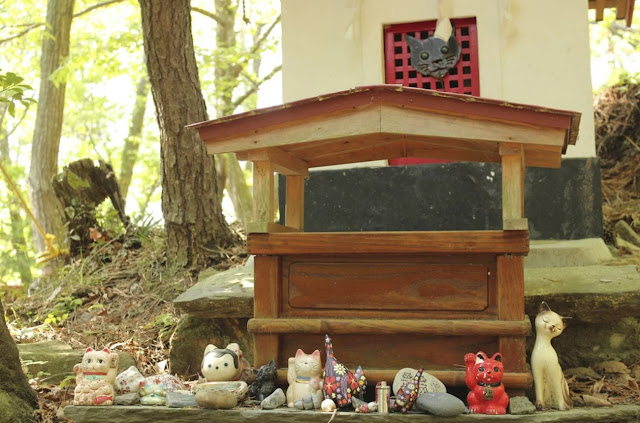 Нэко-дзиндзя, кошачий храм на острове Тасиродзима, Япония