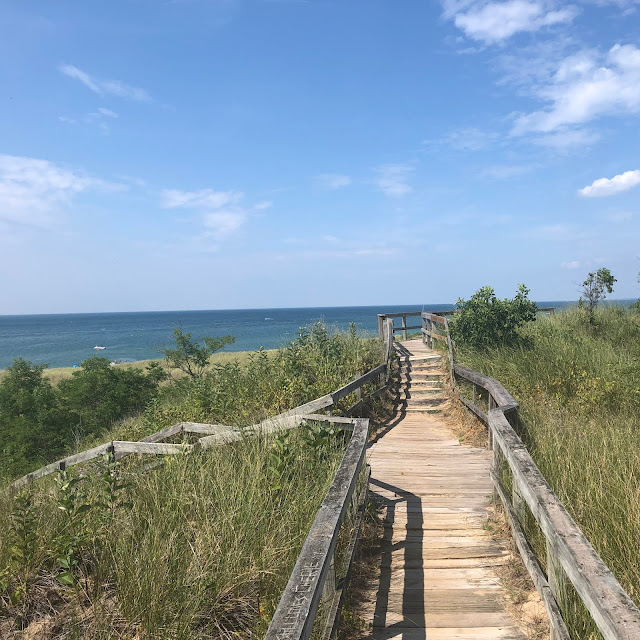 Boardwalk atop the bluff in New Buffalo, Michigan!