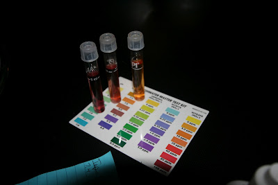 testing the pH in indoor aquaponic garden problem solving 