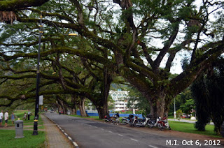 Taiping Lake Gardens at Taiping, Perak (Oct 6, 2012)