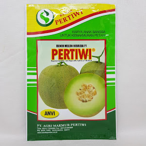 Benih Melon Hibrida F1 Pertiwi