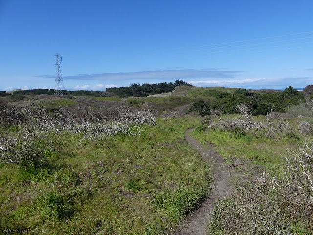 04: trail through the dunes