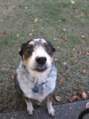 Lupe looking up at the camera, showing her fabulous underbite