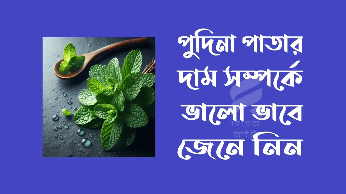 পুদিনা-পাতার-দাম