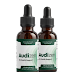 Audizen Tinnitus Relief Drops – A Natural Solution for Lasting Ear Support
