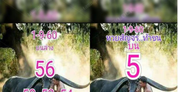 มาแล้วนะ หวยพ่อวิษณุกรรม งวด1/9/60