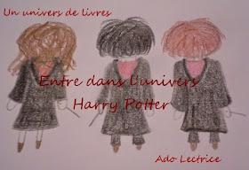 http://un-univers-de-livres.blogspot.fr/2015/02/challenge-entre-dans-lunivers-harry.html