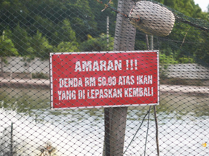 Denda melepaskan ikan RM50