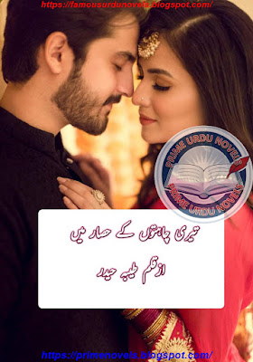 Teri chahaton ke hisar mein novel pdf by Tayyaba Haider Episode 1 to 6