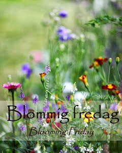 Blommig fredag