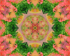 Kaleidoscope Photo Art sumac by Jeanne Selep