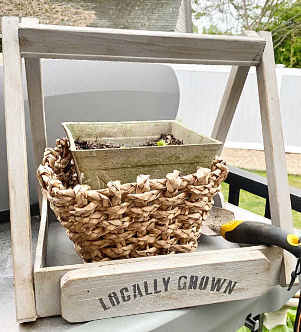 plant carrier with basket and seedlings