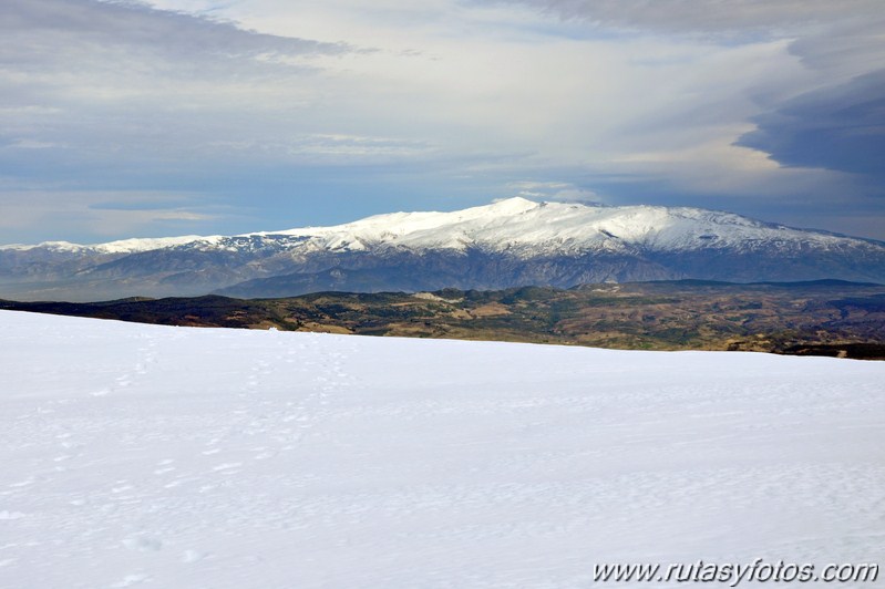 Subida a la Maroma desde el Robledal