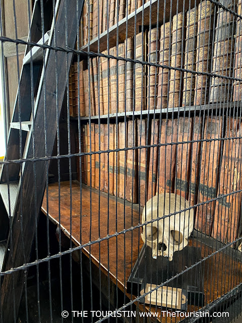 A creme-coloured skull on a dark brown wooden shelf of a three-storey bookshelf stacked with antique books connected by a dark wooden ladder, behind a black-coloured iron gate.