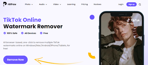 Online TikTok Watermark Remover