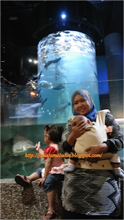 Muhammad Firash Ke Aquaria, KLCC