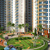 Builders in Noida Working Aesthetically For Development of City