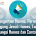 Pengertian Humas, Peran, Tanggung Jawab Humas, Tugas, Fungsi Humas Dan Bank