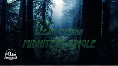 Deejay Cheikna - Midnite in Jungle