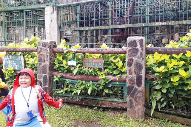 Animal Farm, Tagaytay Highlands, Summer Garden, animals, educational field trip