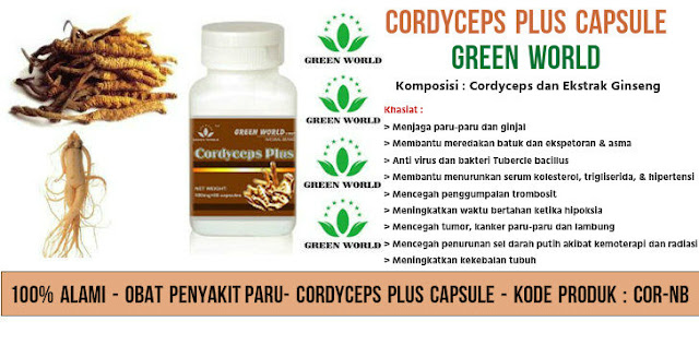 Jual Suplemen Herbal Untuk Perokok "Cordyceps Plus Capsule Green World"