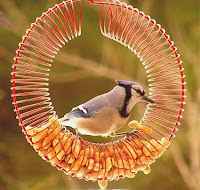 Bird Feeder Peanut