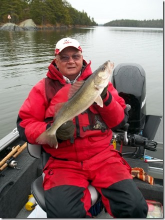 23 inch walleye caught across from Lund's cabin.