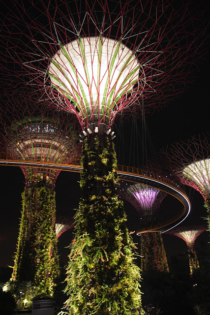 Gardens by the Bay at night supertrees