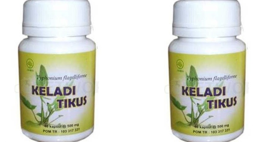 Keladi Tikus Herbal Kanker | 085755201000 | Jual Kapsul ...