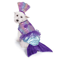 Cute Halloween Costumes for Dogs.