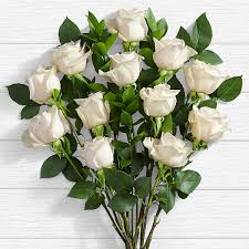 ৫০+ সাদা গোলাপ ফুলের ছবি ডাউনলোড | White Rose Flower Picture Download ৫০+ সাদা গোলাপ ফুলের ছবি ডাউনলোড | White Rose Flower Picture Download