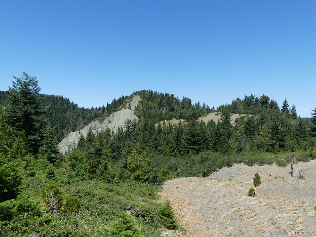 oaks and pines and rocks and barren meadow