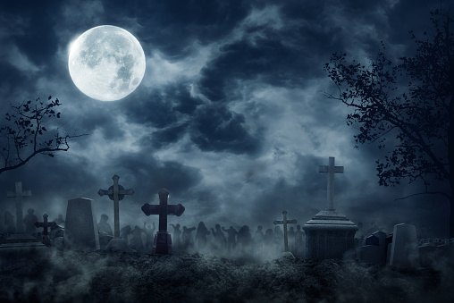 best horror movies & top 5 horror movies & top 5 horror movies in the world