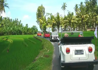 Tour dengan VW Safari di Ubud, Bali