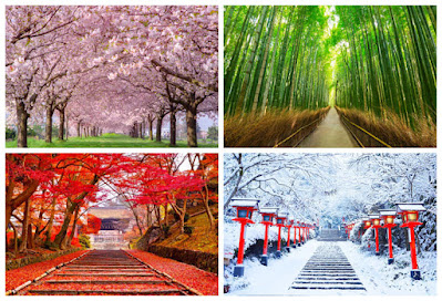 Empat musim di Kyoto Jepang