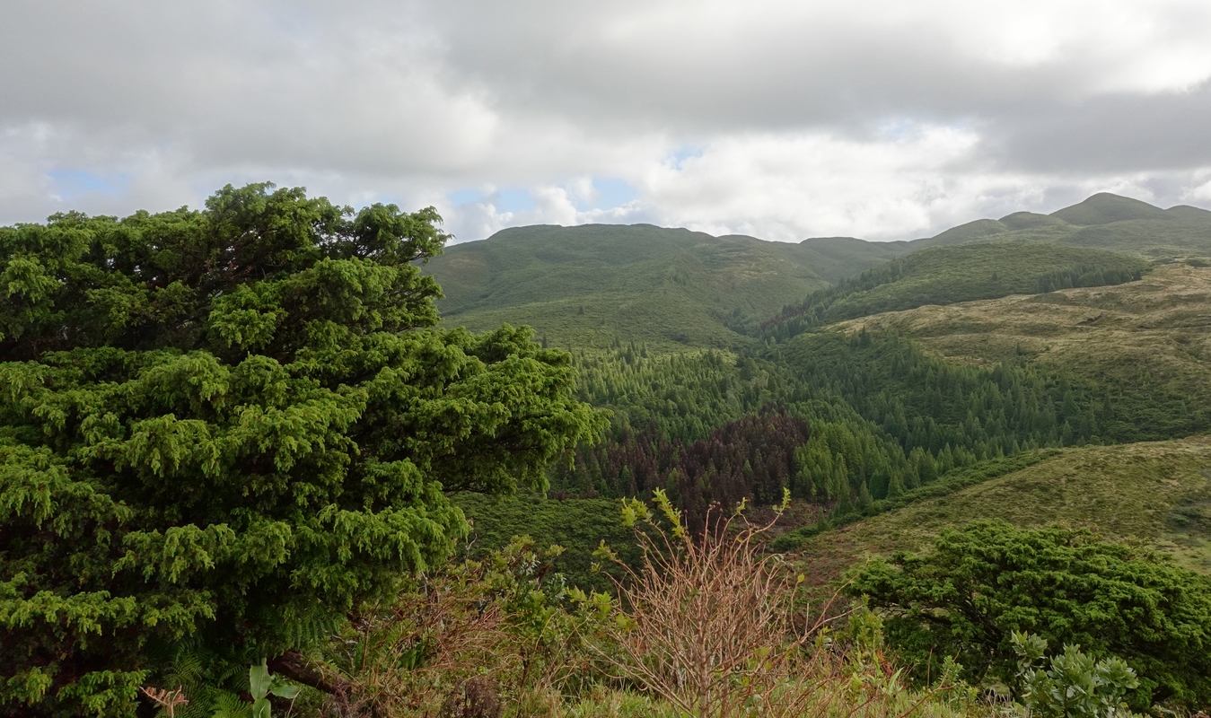 Rocha do Chambre hike on Terceira