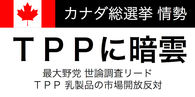 カナダ総選挙がすでにスタートしている（投票日１０月１８日）。世論調査によると、TPPでの乳製品市場開放反対を主張する新民主党が一歩リードしている。政権与党の保守党は僅差で２位。３位の中道左派政党も拮抗している。選挙結果がＴＰＰ交渉に影響する可能性もある。カナダ政府は選挙期間中もＴＰＰ交渉を続けると主張しており。選挙結果が出る前にＴＰＰ大筋合意を目指す可能性も視野にいれておく。