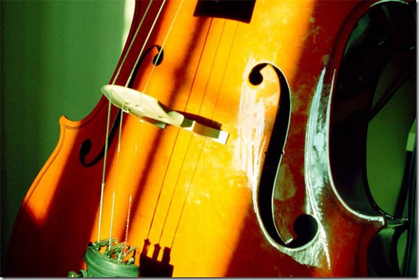cello