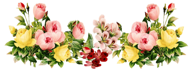  Cara  Edit  Foto  Kekinian Magic Flower Ciblek Uc