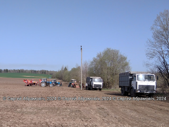 Пасадка бульбы сельгаспрадпрыемствам