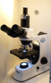 Jual Mikroskop Cahaya Trinokuler