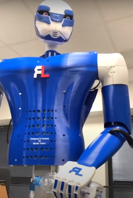 Humanoid robot