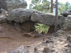 Custer State Park