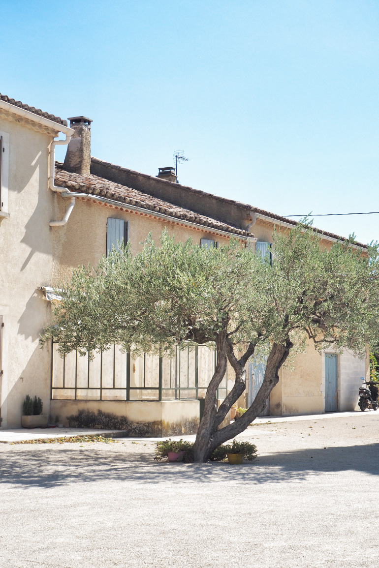 Domaine des Amouriers dans le Vaucluse