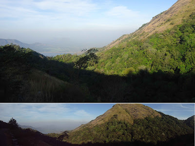 nelliyampathy|nelliyampathy hills Palakkad|nelliyampathy images|nelliyampathy hills| nelliyampathy tourism|Palakkad tourism|Kerala tourism 