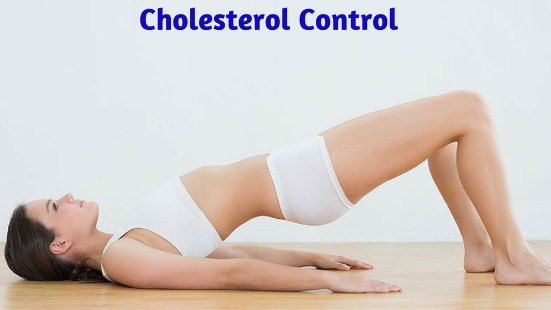 Yoga for High Cholesterol: Its Work for Cholesterol Treatment