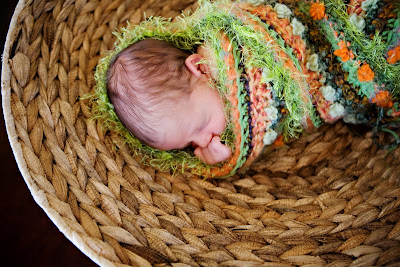 newborn baby portrait