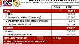 Ini Rincian Lengkap 1.086.128 Formasi CPNS dan PPPK 2022